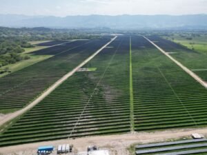 Ecopetrol fortalece su apuesta por las energías renovables con la fusión de Parque Solar Portón del Sol
