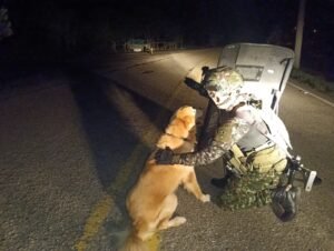 Ejército Nacional frustra atentado con cilindro bomba en plena jornada electoral en Arauca